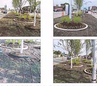 Drip Irrigation